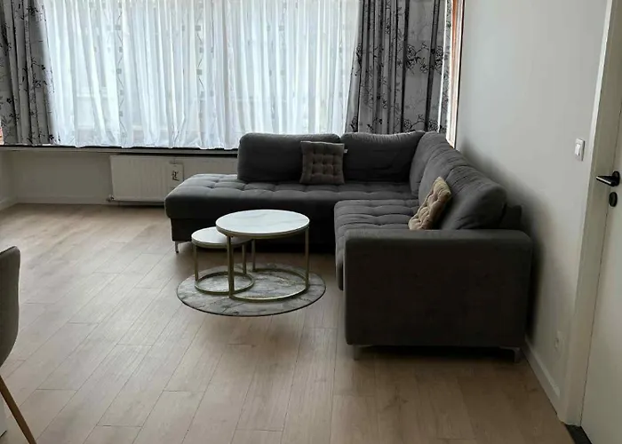 公寓 Iveta's Palace 奥斯滕德